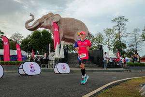 BIB: 
                            <button type="button" onclick="openModal(26528593)" class="btn btn-primary btn-sm float-right btn-popup" data-toggle="modal" data-target=".modal-high-quality">
                        <i class="fas fa-shopping-cart"></i> Add to Cart
                    </button>
                                            <button type="button" onclick="isThisMe(26528593, true)" class="btn btn-success btn-sm float-right btn-popup btn-isme hidden" data-toggle="tooltip" data-placement="bottom" title="นี่คือรูปของคุณใช่ไหม คลิกที่นี่เพื่อเอาเข้าอัลบั้ม">
                        <i class="fas fa-plus"></i> Add to album
                    </button>
                    <button type="button" onclick="isThisMe(26528593, false)" class="btn btn-warning btn-sm float-right btn-popup btn-isnotme hidden">
                        <i class="fas fa-ban"></i> Remove from album
                    </button>